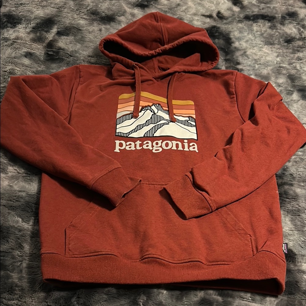 Patagonia Rust Hoodie
